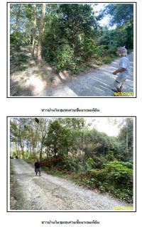 ที่ดินเปล่าหลุดจำนอง ธ.ธนาคารกรุงไทย หน้าเมือง เกาะสมุย สุราษฎร์ธานี