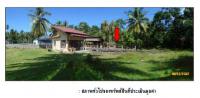 https://ww11.ohoproperty.com/1394/ธนาคารกรุงไทย/ขายที่ดินพร้อมสิ่งปลูกสร้าง/ตลิ่งงาม/เกาะสมุย/สุราษฎร์ธานี/