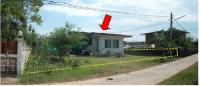 https://ww11.ohoproperty.com/2714/ธนาคารกรุงไทย/ขายบ้านเดี่ยว/รอบเมือง/เมืองร้อยเอ็ด/ร้อยเอ็ด/