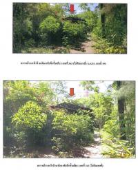 https://ww11.ohoproperty.com/65420/ธนาคารกรุงไทย/ขายที่ดินพร้อมสิ่งปลูกสร้าง/ท่าทอง/กาญจนดิษฐ์/สุราษฎร์ธานี/