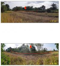 https://ww11.ohoproperty.com/141238/ธนาคารกรุงไทย/ขายที่ดินเปล่า/บ้านนา/เมืองชุมพร/ชุมพร/