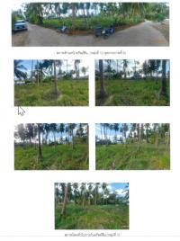 ที่ดินเปล่าหลุดจำนอง ธ.ธนาคารกรุงไทย หน้าเมือง เกาะสมุย สุราษฎร์ธานี