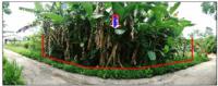 https://ww11.ohoproperty.com/210043/ธนาคารออมสิน/ขายที่ดิน/วังตะกอ/หลังสวน/ชุมพร/