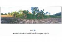 https://ww11.ohoproperty.com/209971/ธนาคารออมสิน/ขายที่ดิน/-/พนมดงรัก/สุรินทร์/