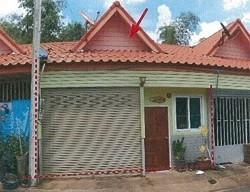 ปลวกแดง ปลวกแดง ระยอง