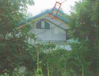 บ้านเดี่ยวหลุดจำนอง ธ.ธนาคารอาคารสงเคราะห์ หอคำ  หนองคาย