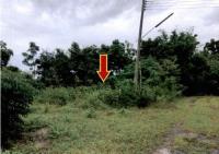 ที่ดินหลุดจำนอง ธ.ธนาคารอาคารสงเคราะห์ นางั่ว เมืองเพชรบูรณ์ เพชรบูรณ์