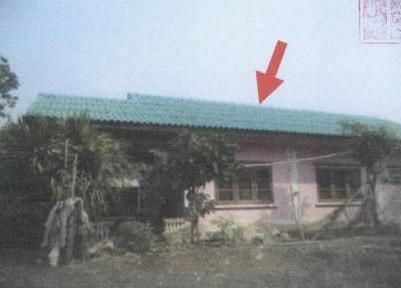 ยางโทน หนองม่วง ลพบุรี