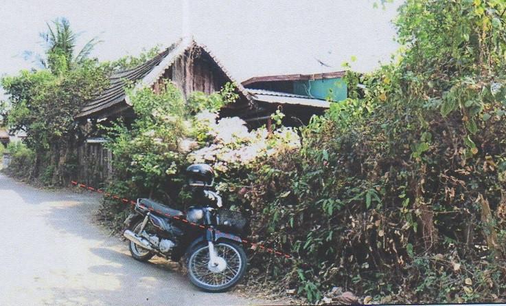 ชมพู เมืองลำปาง ลำปาง