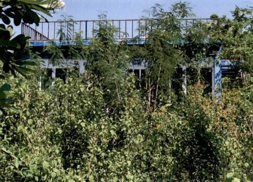 นางั่ว เมืองเพชรบูรณ์ เพชรบูรณ์