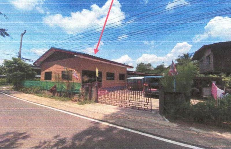 ยาง ศีขรภูมิ สุรินทร์