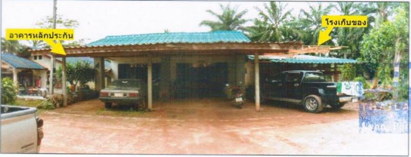 สุโสะ ปะเหลียน ตรัง