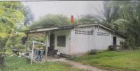 บ้านเดี่ยวหลุดจำนอง ธ.ธนาคารอาคารสงเคราะห์ เหนือคลอง เหนือคลอง กระบี่