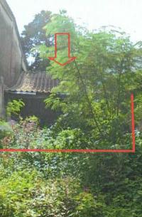 บ้านเดี่ยวหลุดจำนอง ธ.ธนาคารอาคารสงเคราะห์ ควนลัง หาดใหญ่ สงขลา