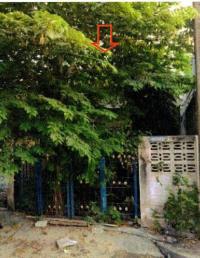 ทาวน์เฮ้าส์หลุดจำนอง ธ.ธนาคารอาคารสงเคราะห์ บึงน้ำรักษ์(คลองฝั่งเหนือ) ธัญบุรี ปทุมธานี