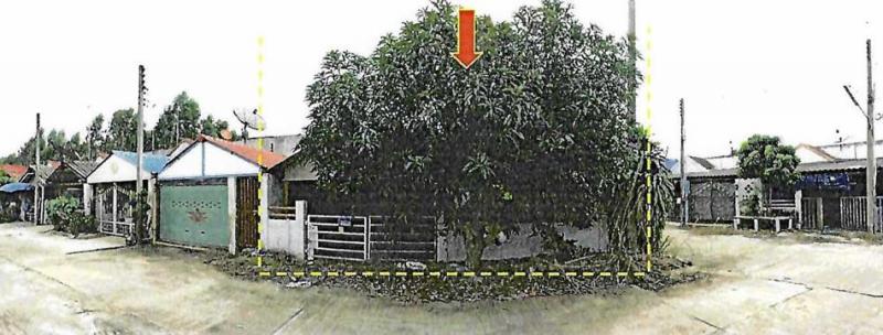 แปลงยาว แปลงยาว ฉะเชิงเทรา