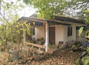 กล้วยแพะ เมืองลำปาง ลำปาง