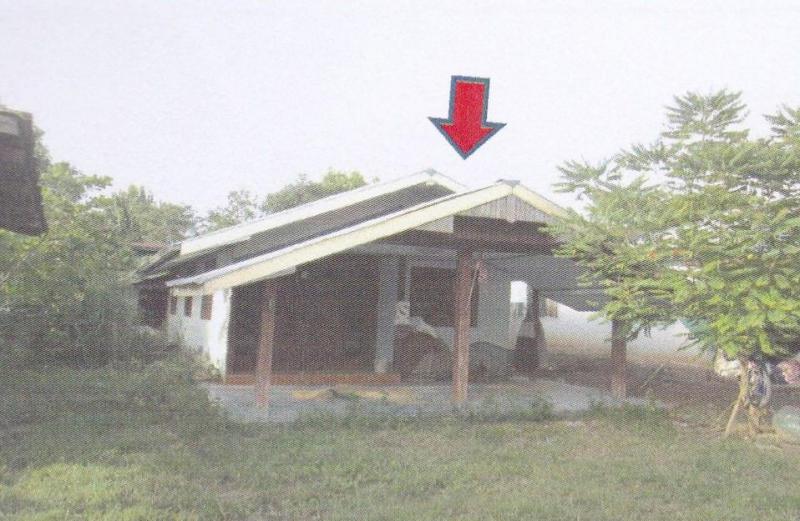 ท่าช้างคล้อง ภูกระดึง เลย