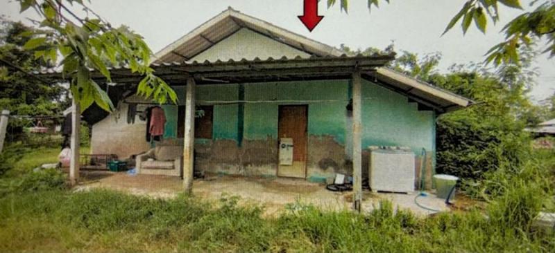 โพนทอง เมืองชัยภูมิ ชัยภูมิ