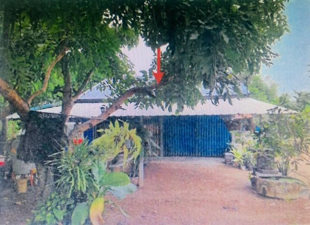 เนินขาม  ชัยนาท