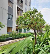 https://ww11.ohoproperty.com/212609/ธนาคารอาคารสงเคราะห์/ขายคอนโด/รังสิต/ธัญบุรี/ปทุมธานี/