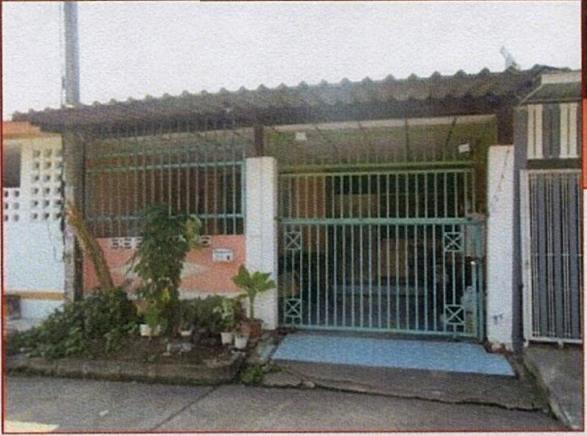 ลำผักกูด(คลองรังสิตฝั่งใต้) ธัญบุรี ปทุมธานี