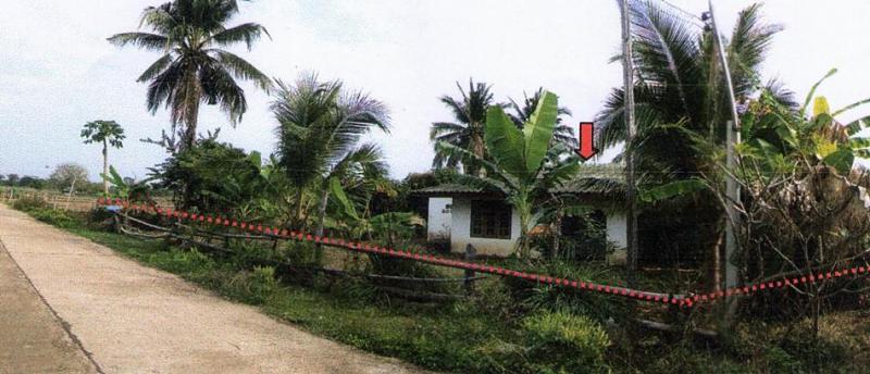 - ปราสาท สุรินทร์