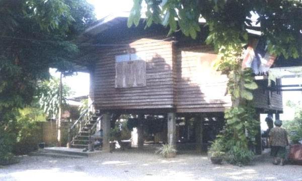 ป่าตัน แม่ทะ ลำปาง