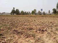 ที่ดินว่างเปล่าหลุดจำนอง ธ.ธนาคารกสิกรไทย ระแงง ศีขรภูมิ สุรินทร์