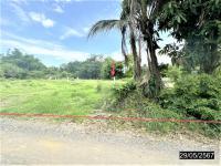 https://ww11.ohoproperty.com/199773/ธนาคารกสิกรไทย/ขายที่ดินว่างเปล่า/หนองบัว/โกสุมพิสัย/มหาสารคาม/