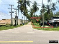 https://ww11.ohoproperty.com/205122/ธนาคารกสิกรไทย/ขายที่ดินว่างเปล่า/บางมะพร้าว/หลังสวน/ชุมพร/