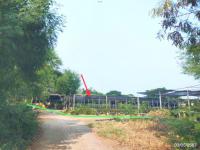 https://ww11.ohoproperty.com/205049/ธนาคารกสิกรไทย/ขายที่ดินว่างเปล่า/เอกราช/ป่าโมก/อ่างทอง/