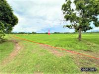 https://ww11.ohoproperty.com/212491/ธนาคารกสิกรไทย/ขายที่ดินว่างเปล่า/หัวขวาง/โกสุมพิสัย/มหาสารคาม/