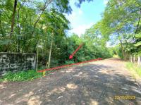 https://ww11.ohoproperty.com/206077/ธนาคารกสิกรไทย/ขายที่ดินว่างเปล่า/รังสิต/ธัญบุรี/ปทุมธานี/