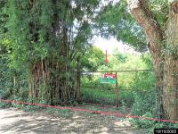 https://ww11.ohoproperty.com/160194/ธนาคารกสิกรไทย/ขายบ้านเดี่ยว/ณรงค์/ศรีณรงค์/สุรินทร์/