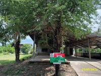https://ww11.ohoproperty.com/155686/ธนาคารกสิกรไทย/ขายบ้านเดี่ยว/เมืองเดช/เดชอุดม/อุบลราชธานี/
