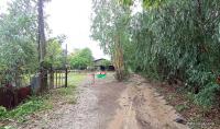 https://ww11.ohoproperty.com/167977/ธนาคารกสิกรไทย/ขายบ้านเดี่ยว/โพธิ์ศรีสว่าง/โพนทอง/ร้อยเอ็ด/