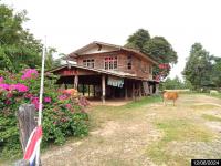 https://ww11.ohoproperty.com/198629/ธนาคารกสิกรไทย/ขายบ้านเดี่ยว/จารพัต/ศีขรภูมิ/สุรินทร์/