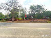 https://ww11.ohoproperty.com/211618/ธนาคารกสิกรไทย/ขายบ้านเดี่ยว/หนองบัว/โกสุมพิสัย/มหาสารคาม/