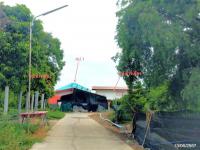 https://ww11.ohoproperty.com/211177/ธนาคารกสิกรไทย/ขายบ้านเดี่ยว/ศาลาแดง/เมืองอ่างทอง/อ่างทอง/