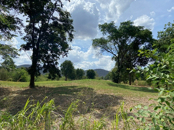 ที่ดินหลุดจำนอง ธ.ธนาคารกรุงเทพ ปากช่อง ปากช่อง นครราชสีมา