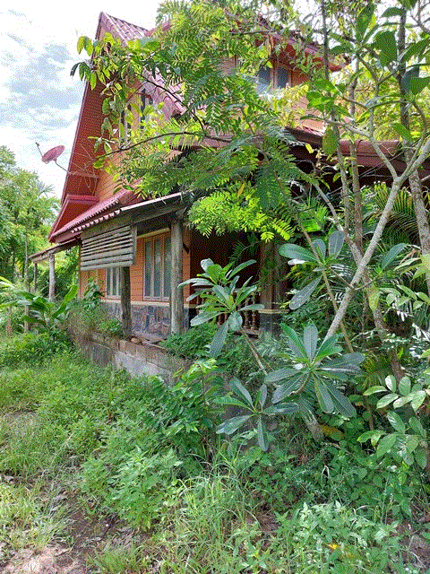 https://ww11.ohoproperty.com/185355/ธนาคารกรุงเทพ/ขายบ้าน/ท่ายาง/เมืองชุมพร/ชุมพร/