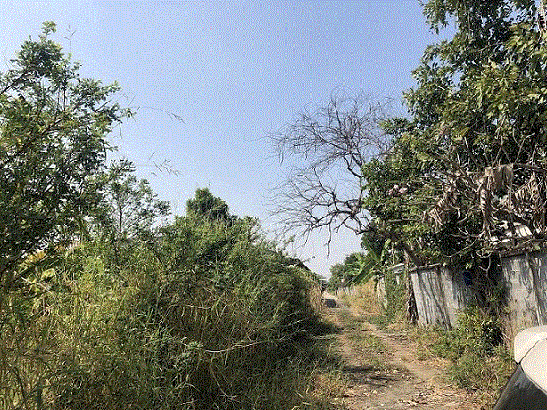 ที่ดินหลุดจำนอง ธ.ธนาคารกรุงเทพ บึงคำพร้อย ลำลูกกา ปทุมธานี