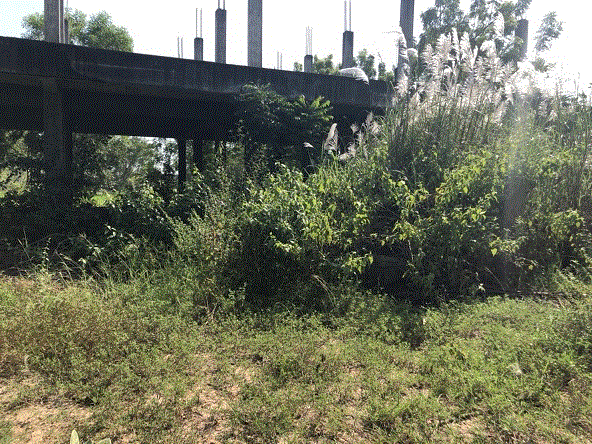 อพาร์ทเม้นท์/หอพักหลุดจำนอง ธ.ธนาคารกรุงเทพ แหลมประดู่ บ้านโพธิ์ ฉะเชิงเทรา