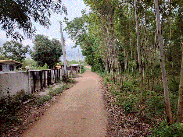 บ้านหลุดจำนอง ธ.ธนาคารกรุงเทพ คู้ยายหมี สนามชัย ฉะเชิงเทรา