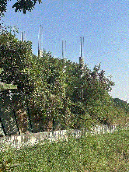 บ้านหลุดจำนอง ธ.ธนาคารกรุงเทพ บ้านกลาง เมืองปทุมธานี ปทุมธานี