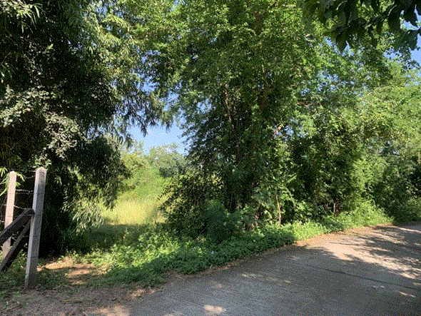 ที่ดินหลุดจำนอง ธ.ธนาคารกรุงเทพ สายออ โนนไทย นครราชสีมา