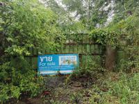 https://ww11.ohoproperty.com/211329/ธนาคารทหารไทยธนชาต/ขายโรงงาน/หมอนนาง/พนัสนิคม/ชลบุรี/